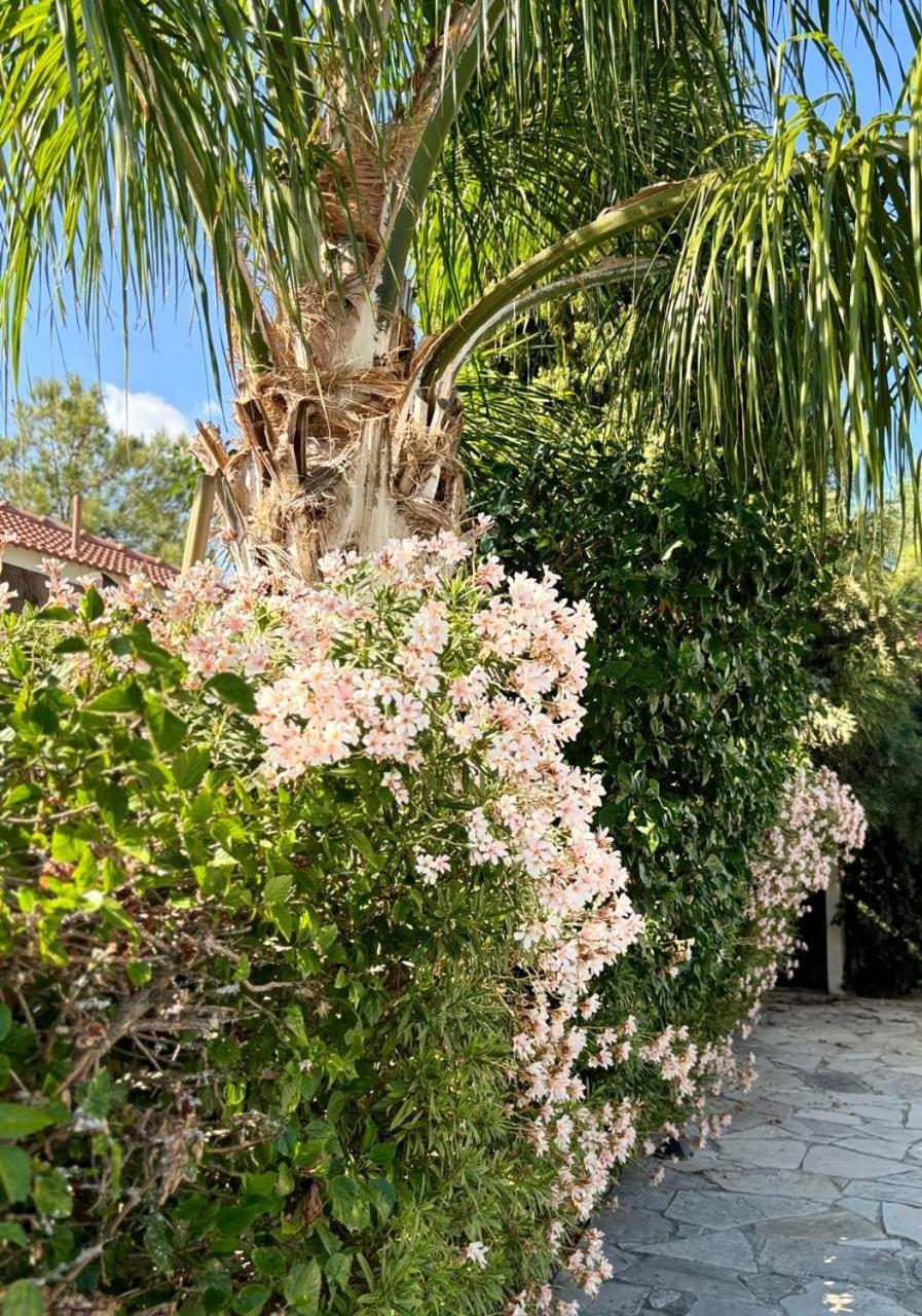 Le Caroubier Splendid 3 Bedrooms Bungalow Zanaja Luaran gambar